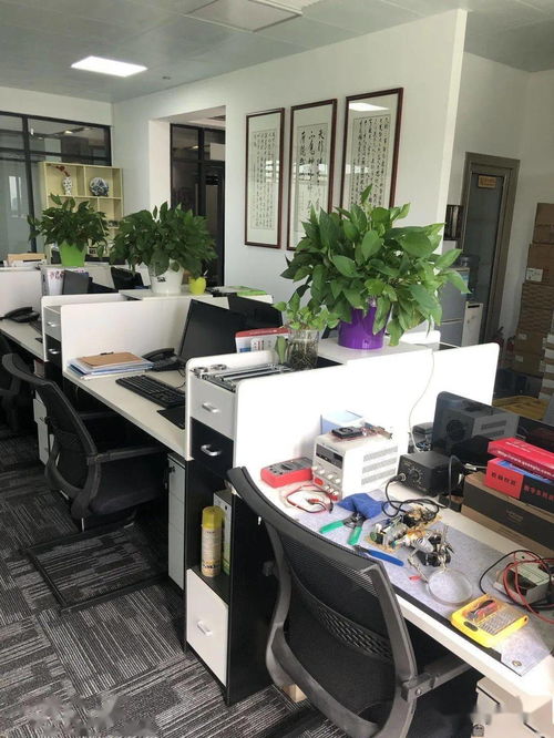 企業走訪 ∣ 東莞市湖南汨羅商會走訪系列活動（一） 聚焦計算機軟硬件研發與銷售領域
